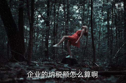 企業(yè)納稅如何計(jì)算，企業(yè)的納稅額怎么算啊