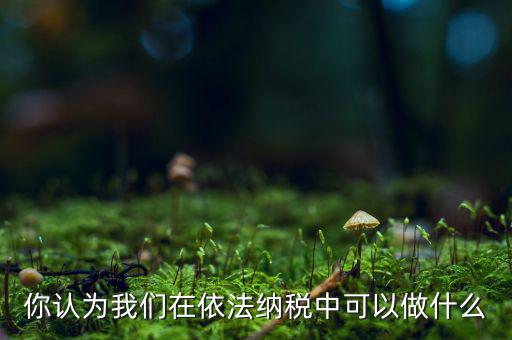 如何做到依法納稅，你認(rèn)為我們?cè)谝婪{稅中可以做什么