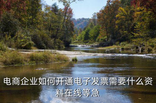 電子發(fā)票如何申領，京東電子發(fā)票如何獲取