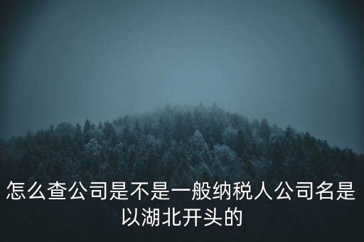 如何查詢企業(yè)是否是一般納稅人，怎么查公司是不是一般納稅人公司名是以湖北開頭的