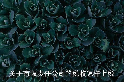 有限責(zé)任公司如何繳稅，有限責(zé)任公司是如何納稅的要繳納的稅種都有哪些