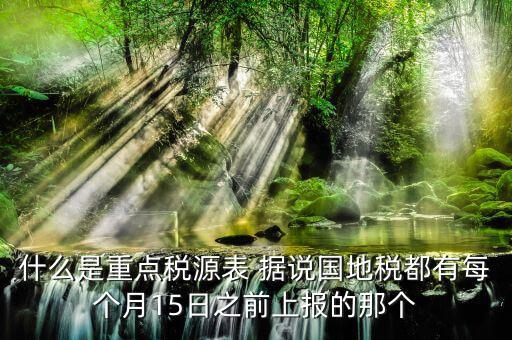 什么是重點稅源表 據說國地稅都有每個月15日之前上報的那個