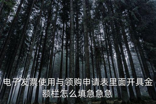 電子發(fā)票使用與領(lǐng)購(gòu)申請(qǐng)表里面開具金額欄怎么填急急急