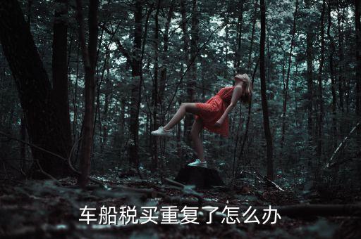 車(chē)船稅買(mǎi)重復(fù)了怎么辦