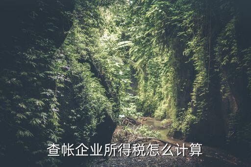 企業(yè)所得稅如何查賬，企業(yè)所得稅計(jì)算 查賬法