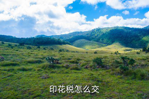個(gè)人如何繳納印花稅，印花稅怎么交