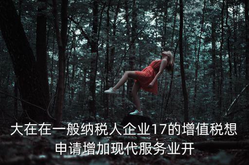 大在在一般納稅人企業(yè)17的增值稅想申請(qǐng)?jiān)黾蝇F(xiàn)代服務(wù)業(yè)開(kāi)