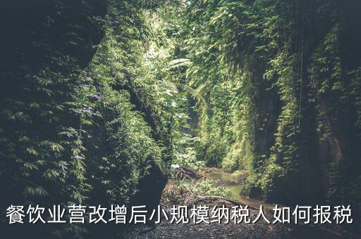 營改增后小規(guī)模納稅人如何報稅，營改增后小規(guī)模的怎么報稅