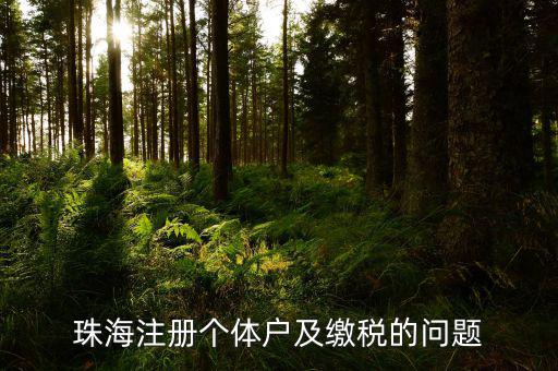 珠海稅票如何網(wǎng)上辦理，珠?？贪l(fā)票專(zhuān)用章程序