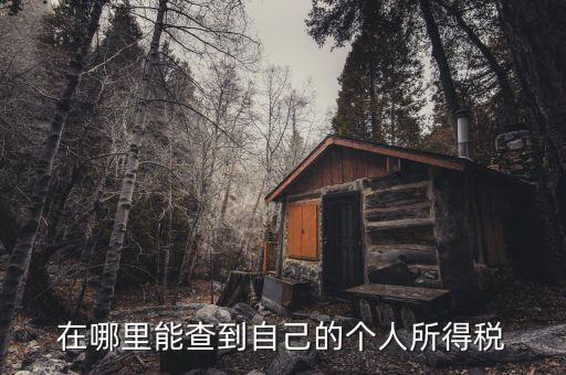 個(gè)人所得稅如何查，怎么查個(gè)人所得稅