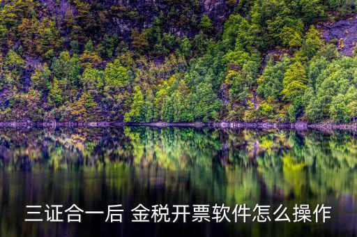 三證合一如何開票系統(tǒng)，怎么給三證合一的企業(yè)開增值稅發(fā)票