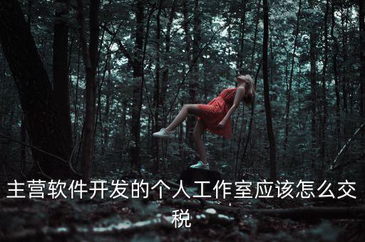 主營軟件開發(fā)的個人工作室應(yīng)該怎么交稅