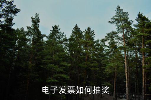 發(fā)票如何登記抽獎(jiǎng)，發(fā)票怎么抽獎(jiǎng)