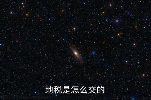單位如何繳地稅，辦公司怎樣交地稅