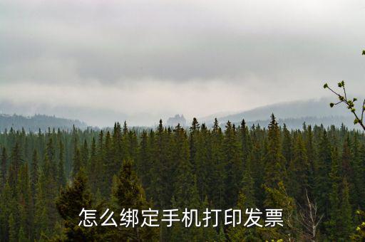 百旺電子發(fā)票如何綁定終端，尚未配備電子發(fā)票終端怎么處理