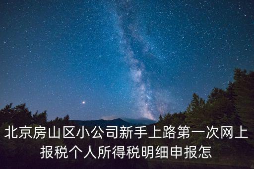 北京房山區(qū)小公司新手上路第一次網(wǎng)上報(bào)稅個(gè)人所得稅明細(xì)申報(bào)怎