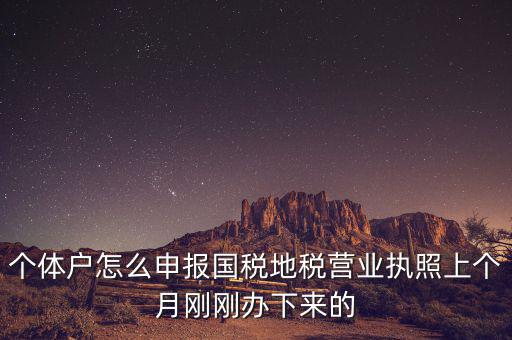 個體定額如何申報國稅，個體戶如何申報國稅和地稅