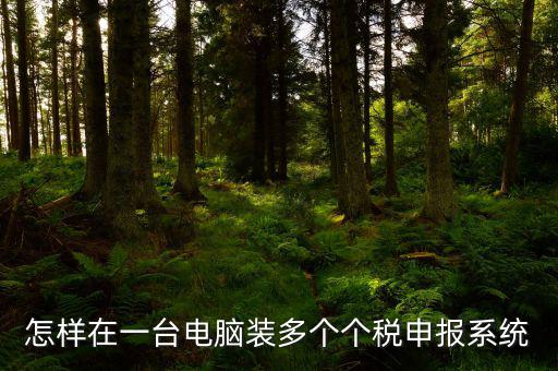 怎樣在一臺(tái)電腦裝多個(gè)個(gè)稅申報(bào)系統(tǒng)