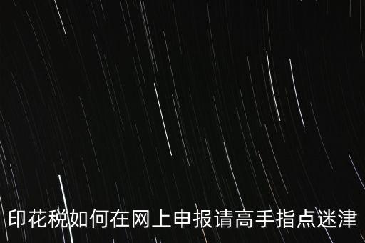 印花稅如何在網(wǎng)上申報請高手指點(diǎn)迷津