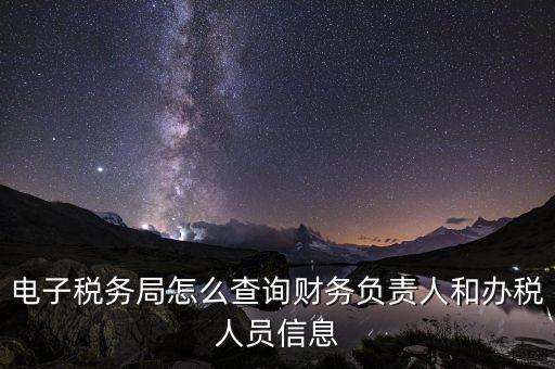 電子稅務(wù)局怎么查詢財務(wù)負(fù)責(zé)人和辦稅人員信息