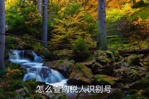 如何查詢個人納稅人識別號，納稅人識別號查詢