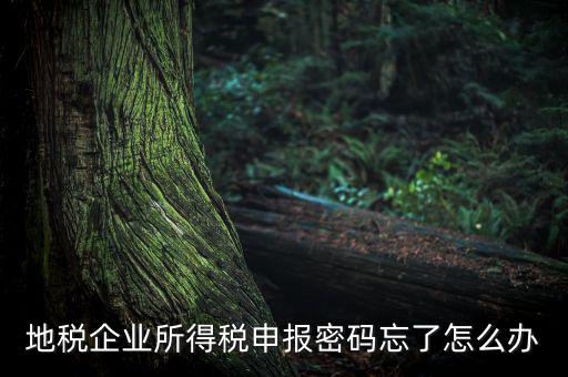 南京地稅密碼如何重置，個人所得稅忘記密碼之后如何進(jìn)行重置呢