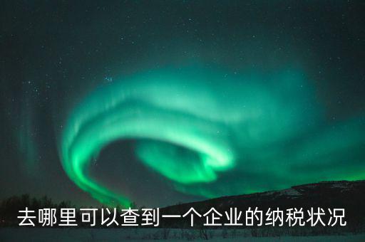 企業(yè)在哪納稅如何查，去哪里可以查到一個企業(yè)的納稅狀況