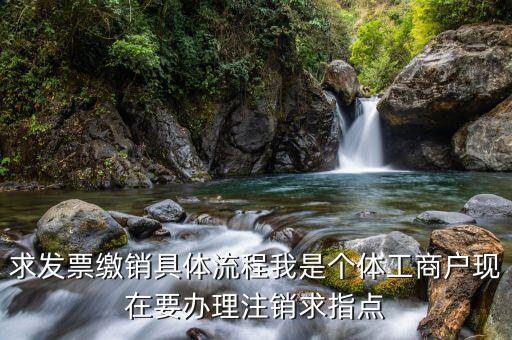 求發(fā)票繳銷(xiāo)具體流程我是個(gè)體工商戶現(xiàn)在要辦理注銷(xiāo)求指點(diǎn)