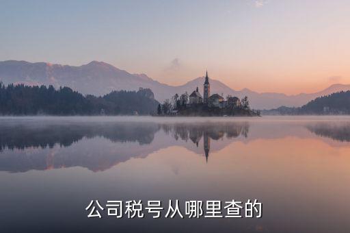企業(yè)稅號(hào)如何查詢，公司稅號(hào)從哪里查的