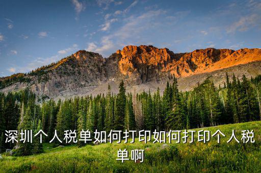 深圳網(wǎng)上如何打印稅單，怎樣在網(wǎng)上打印稅單我是深圳寶安區(qū)的