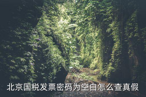 北京國稅發(fā)票真?zhèn)稳绾尾樵?，北京國稅發(fā)票密碼為空白怎么查真假