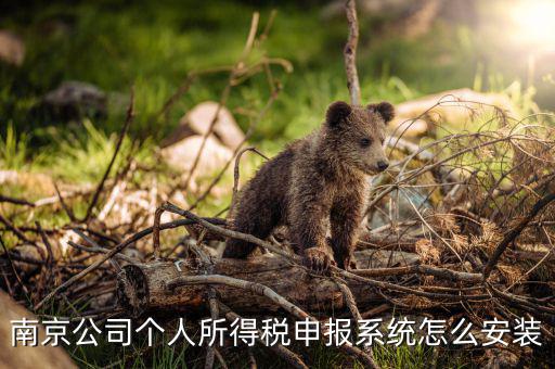 如何安裝金稅三期個(gè)稅安裝包，金稅三期在哪里下載