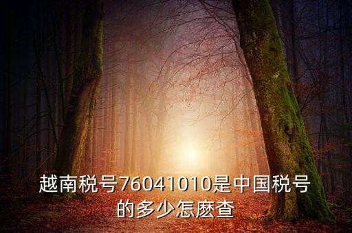 中國如何查個(gè)人稅號(hào)，越南稅號(hào)76041010是中國稅號(hào)的多少怎麼查