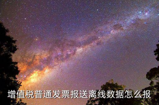 如何報(bào)送發(fā)票數(shù)據(jù)，河北國(guó)稅普通發(fā)票怎么報(bào)送