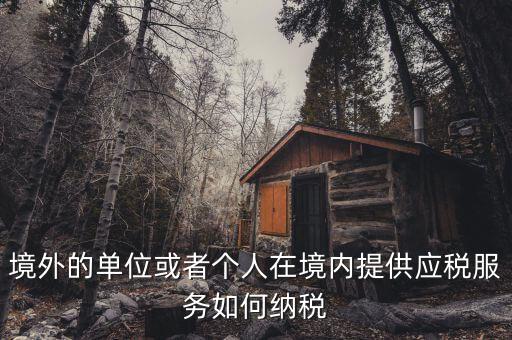 境外機構(gòu)如何繳納增值稅，來源于境外收入怎么交增值稅