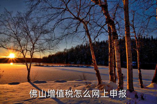 佛山地稅如何網(wǎng)上申報(bào)，佛山增值稅怎么網(wǎng)上申報(bào)