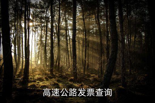 如何知道道路發(fā)票幾級，汽車的增值稅發(fā)票怎么看