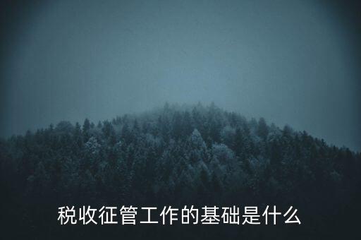 國稅如何夯實征管基礎，稅收征管工作的基礎是什么