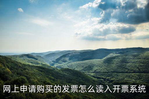 網(wǎng)購發(fā)票如何讀入，網(wǎng)上申請(qǐng)購買的發(fā)票怎么讀入開票系統(tǒng)