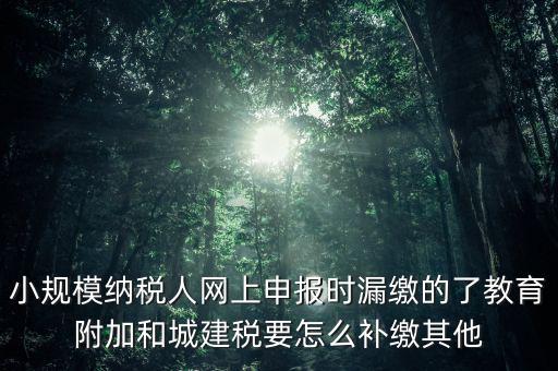 過(guò)了征期如何補(bǔ)交城建稅，請(qǐng)問(wèn)城建稅忘記交怎么辦