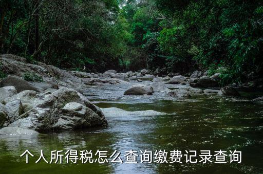 個人所得稅怎么查詢繳費(fèi)記錄查詢