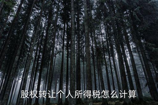 如何計算股權轉讓所得稅，股權轉讓的個人所得稅怎么計算
