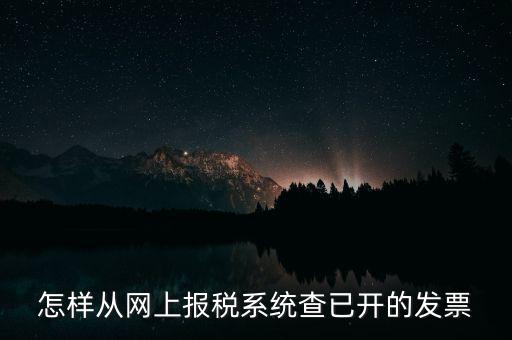 怎樣從網(wǎng)上報(bào)稅系統(tǒng)查已開的發(fā)票