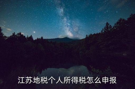 如何申報年稅江蘇，江蘇地稅個人所得稅怎么申報