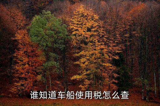 如何查詢自己交車船稅，車船稅交沒交能在網上查詢嗎