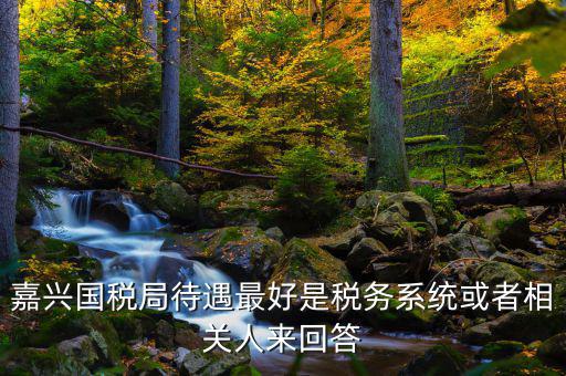 海寧國稅局待遇如何，嘉興經(jīng)開國稅在哪