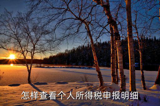 如何查詢個(gè)人所得稅明細(xì)申報(bào)，怎樣查看個(gè)人所得稅申報(bào)明細(xì)