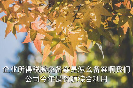 如何打印稅收優(yōu)惠備案通知書，減免稅備案登記告知書在哪里打印的