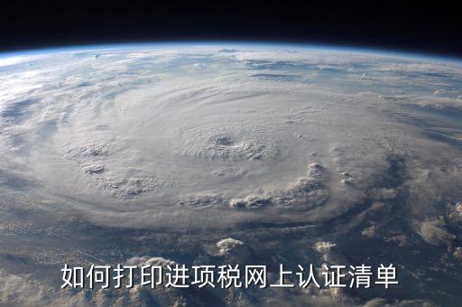 如何打印進項稅網(wǎng)上認(rèn)證清單