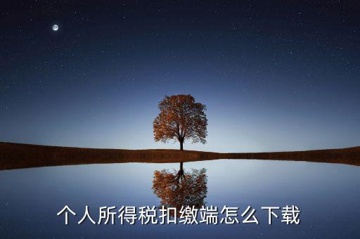 如何下載自然人扣繳客戶端，重慶市自然人電子稅務(wù)局扣繳端怎么下載